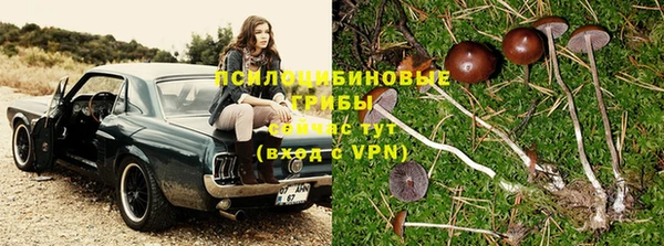 меф Зеленокумск