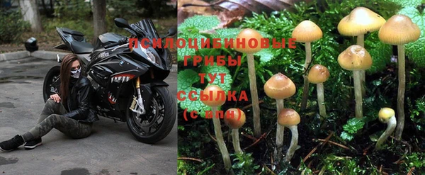 прущая мука Инта