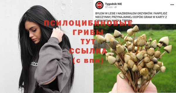 каннабис Зерноград