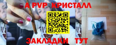 СК Шахты
