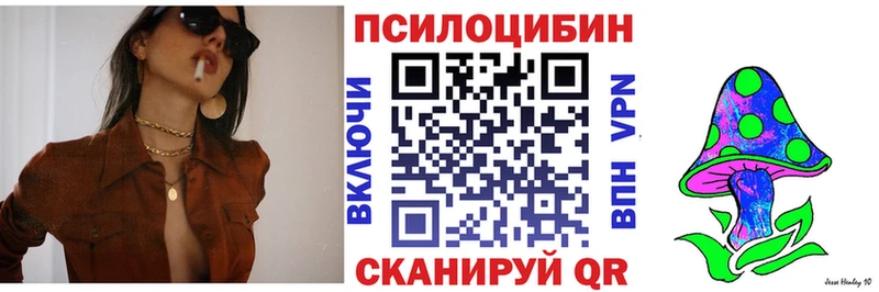 где найти   Сатка  Галлюциногенные грибы MAGIC MUSHROOMS 