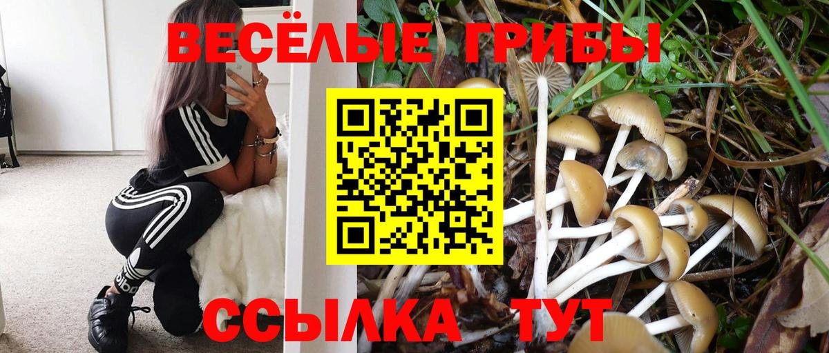 купить наркотик  Псилоцибиновые грибы MAGIC MUSHROOMS  Вход с VPN  Сатка 