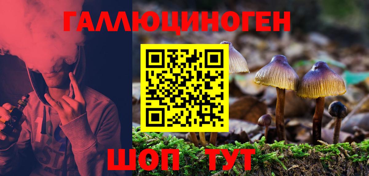 Галлюциногенные грибы прущие грибы Сатка